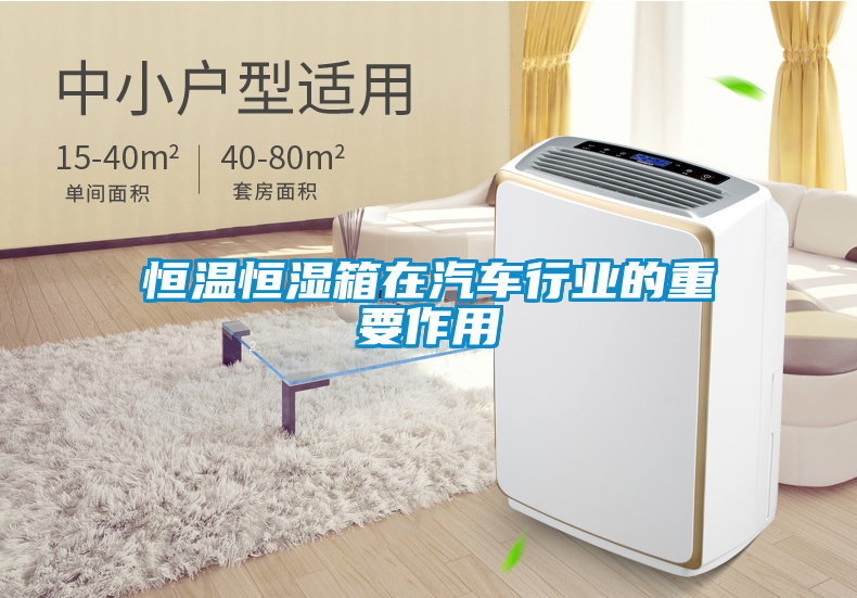 欧美黄色性爱视频网站 恒温恒湿箱在汽车行业的重要作用