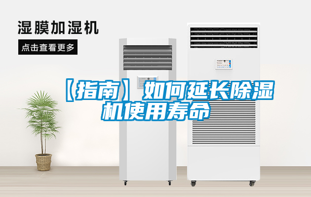 欧美黄色电影在线播放 【指南】如何延长除湿机使用寿命