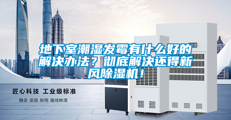 欧美黄色电影在线播放 地下室潮湿发霉有什么好的解决办法？彻底解决还得新风除湿机！