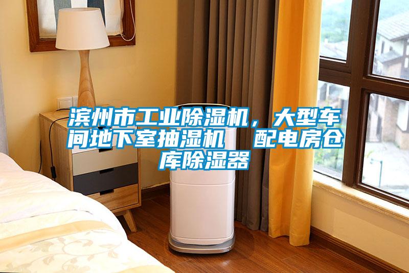 欧美黄色电影在线播放 滨州市工业除湿机，大型车间地下室抽湿机  配电房仓库除湿器