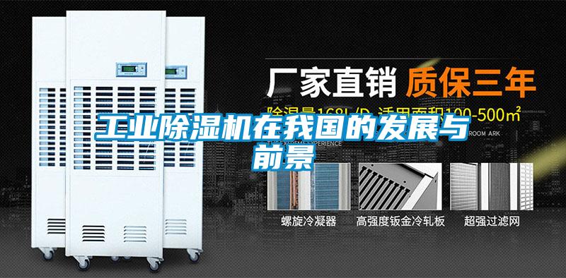 欧美黄色性爱视频网站 工业除湿机在我国的发展与前景