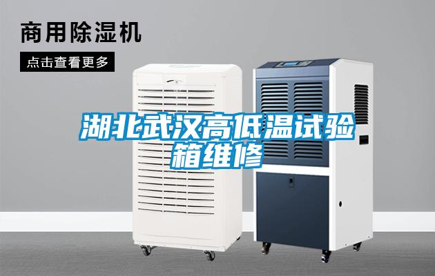 欧美成色手机在线观看 湖北武汉高低温试验箱维修