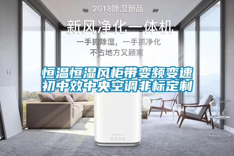 欧美成色手机在线观看 恒温恒湿风柜带变频变速初中效中央空调非标定制