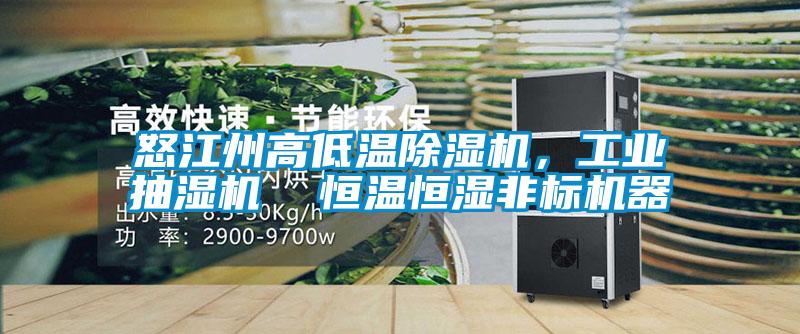 欧美黄色性爱视频网站 怒江州高低温除湿机，工业抽湿机  恒温恒湿非标机器