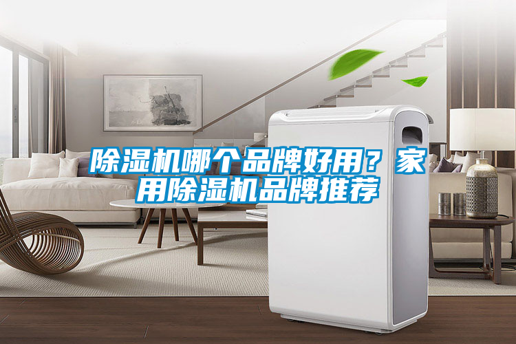 欧美黄色电影在线播放 除湿机哪个品牌好用？家用除湿机品牌推荐