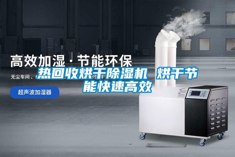欧美黄色性爱视频网站 热回收烘干除湿机 烘干节能快速高效
