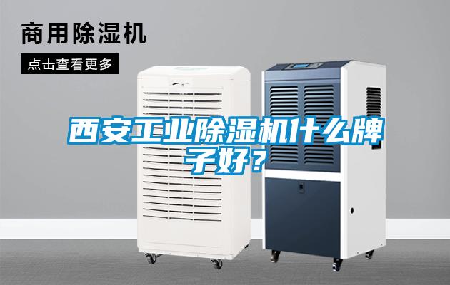 欧美黄色性爱视频网站 西安工业除湿机什么牌子好？