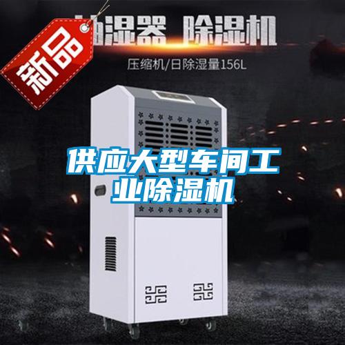 欧美成色手机在线观看 供应大型车间工业除湿机