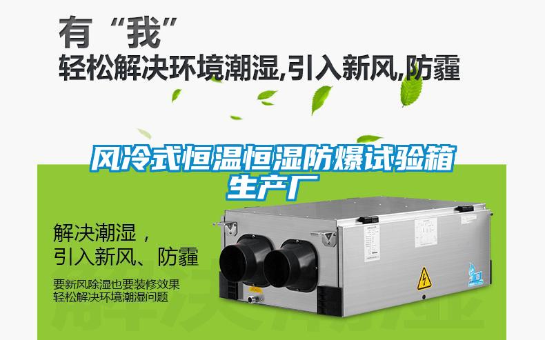 欧美成色手机在线观看 风冷式恒温恒湿防爆试验箱生产厂