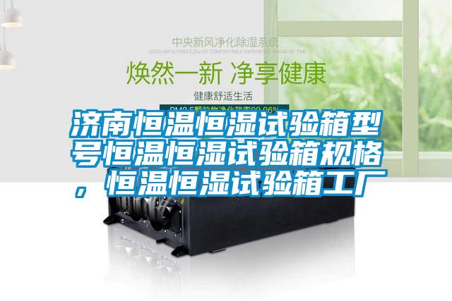 欧美黄色性爱视频网站 济南恒温恒湿试验箱型号恒温恒湿试验箱规格，恒温恒湿试验箱工厂