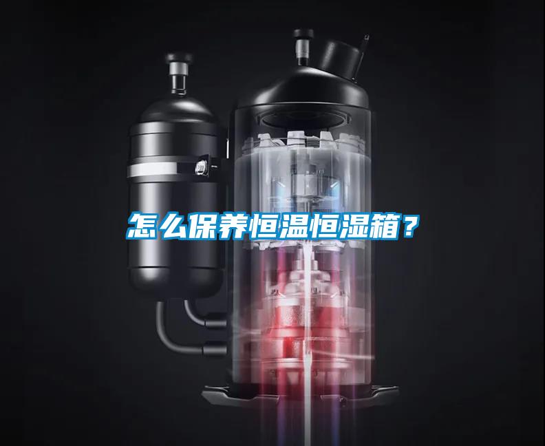 欧美黄色性爱视频网站 怎么保养恒温恒湿箱？