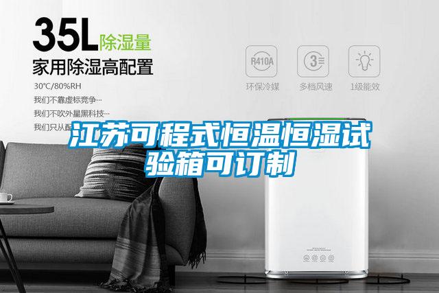 欧美黄色电影在线播放 江苏可程式恒温恒湿试验箱可订制