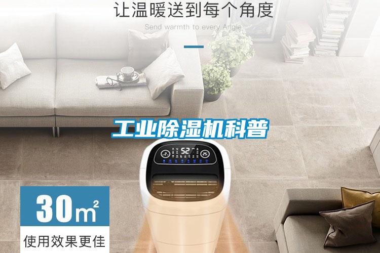 欧美成色手机在线观看 工业除湿机科普