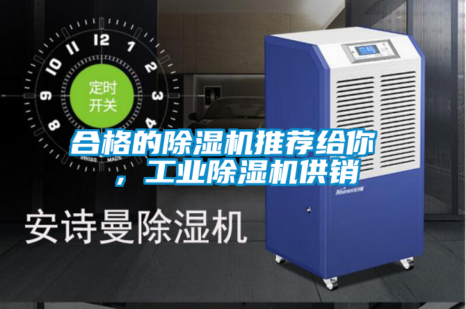 欧美成色手机在线观看 合格的除湿机推荐给你 ，工业除湿机供销
