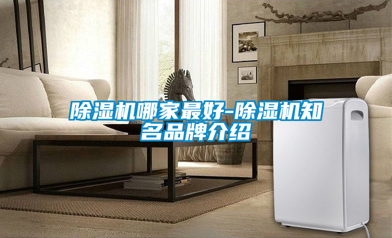 欧美黄色性爱视频网站 除湿机哪家最好-除湿机知名品牌介绍