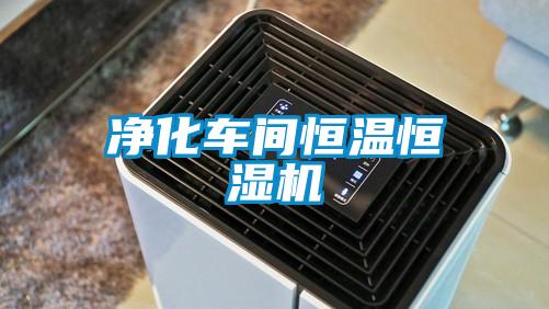 欧美黄色电影在线播放 净化车间恒温恒湿机