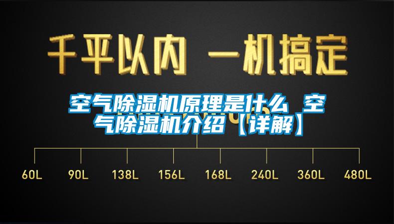 欧美黄色性爱视频网站 空气除湿机原理是什么 空气除湿机介绍【详解】
