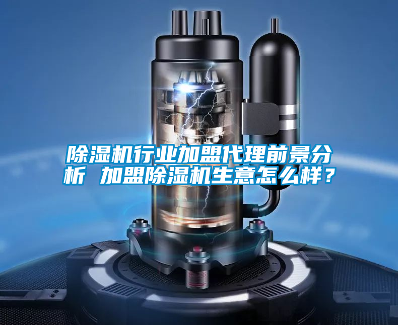 欧美黄色性爱视频网站 除湿机行业加盟代理前景分析 加盟除湿机生意怎么样？