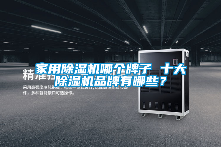 欧美黄色电影在线播放 家用除湿机哪个牌子 十大除湿机品牌有哪些？