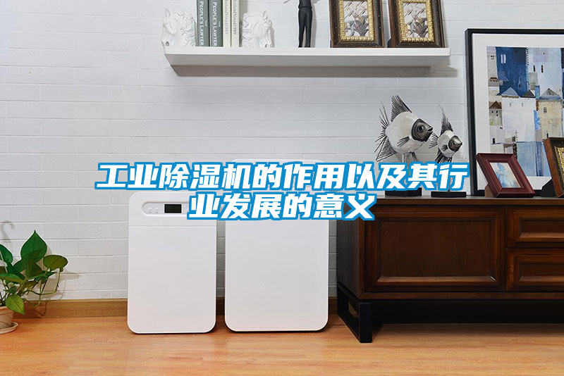 欧美黄色电影在线播放 工业除湿机的作用以及其行业发展的意义
