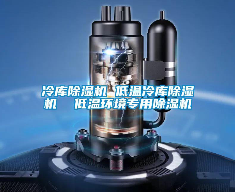欧美黄色性爱视频网站 冷库除湿机 低温冷库除湿机  低温环境专用除湿机
