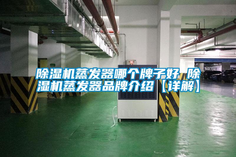欧美成色手机在线观看 除湿机蒸发器哪个牌子好 除湿机蒸发器品牌介绍【详解】