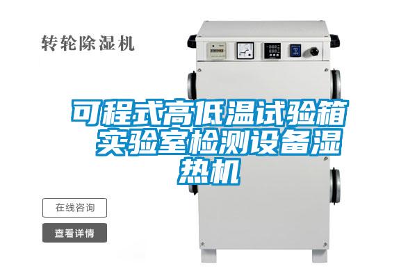 欧美成色手机在线观看 可程式高低温试验箱 实验室检测设备湿热机