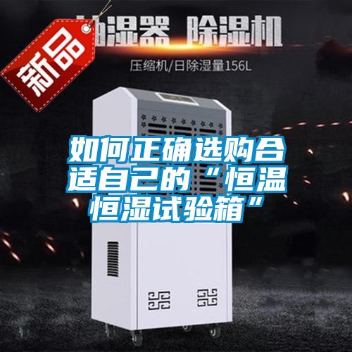 欧美黄色电影在线播放 如何正确选购合适自己的“恒温恒湿试验箱”