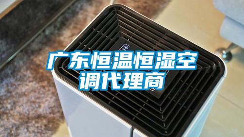 欧美黄色性爱视频网站 广东恒温恒湿空调代理商