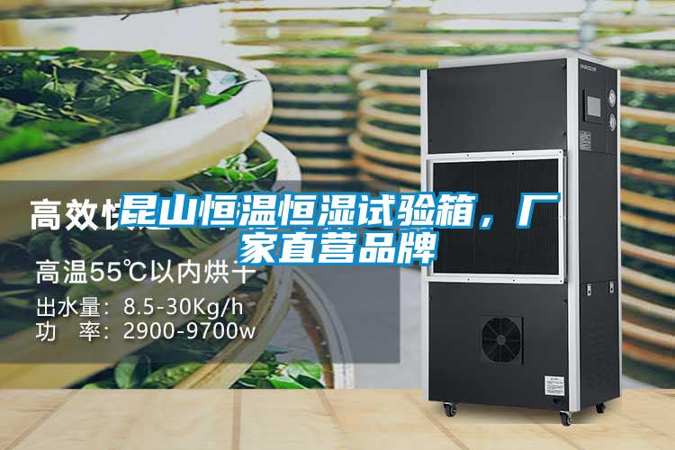 欧美成色手机在线观看 昆山恒温恒湿试验箱，厂家直营品牌