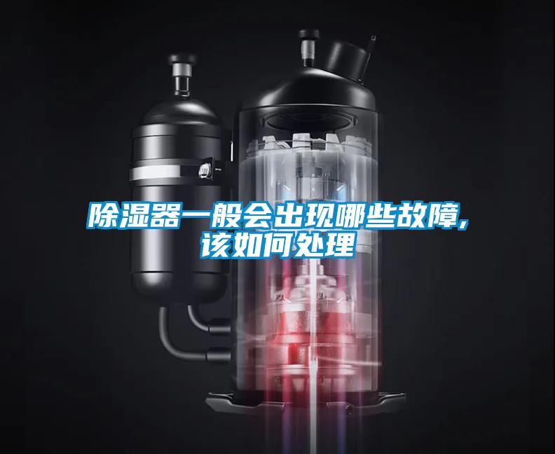 欧美黄色电影在线播放 除湿器一般会出现哪些故障,该如何处理