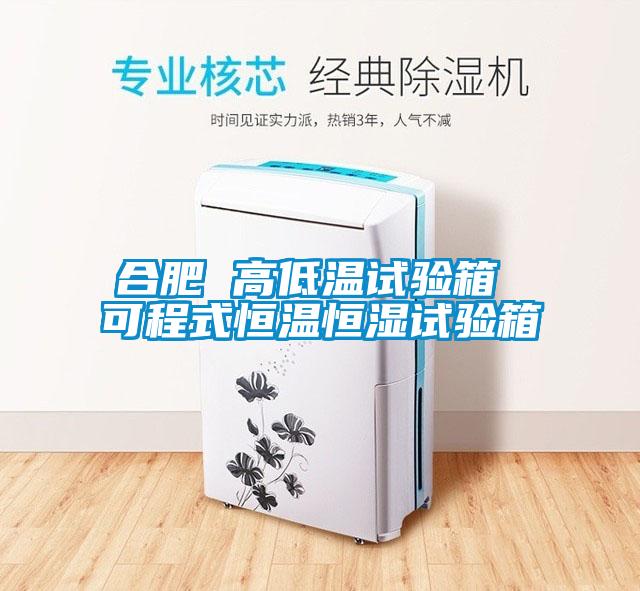 欧美黄色电影在线播放 合肥 高低温试验箱 可程式恒温恒湿试验箱
