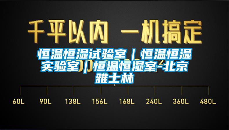 欧美黄色电影在线播放 恒温恒湿试验室｜恒温恒湿实验室｜恒温恒湿室-北京雅士林