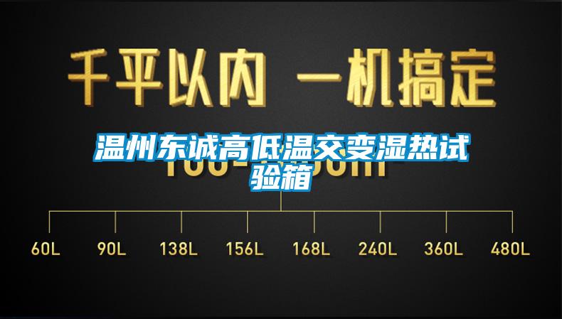 欧美成色手机在线观看 温州东诚高低温交变湿热试验箱