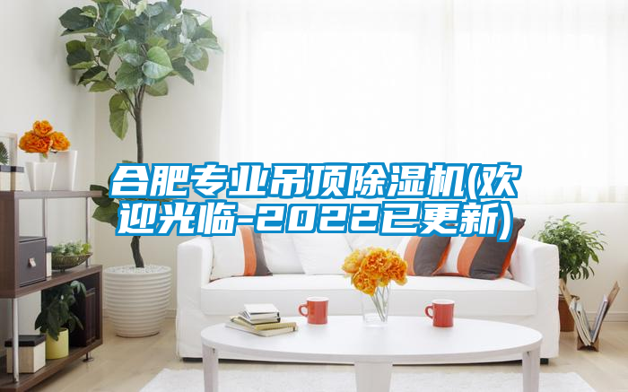 欧美黄色性爱视频网站 合肥专业吊顶除湿机(欢迎光临-2022已更新)