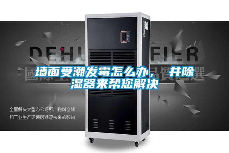 欧美成色手机在线观看 墙面受潮发霉怎么办，東井除湿器来帮您解决