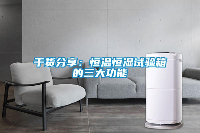 欧美黄色电影在线播放 干货分享：恒温恒湿试验箱的三大功能