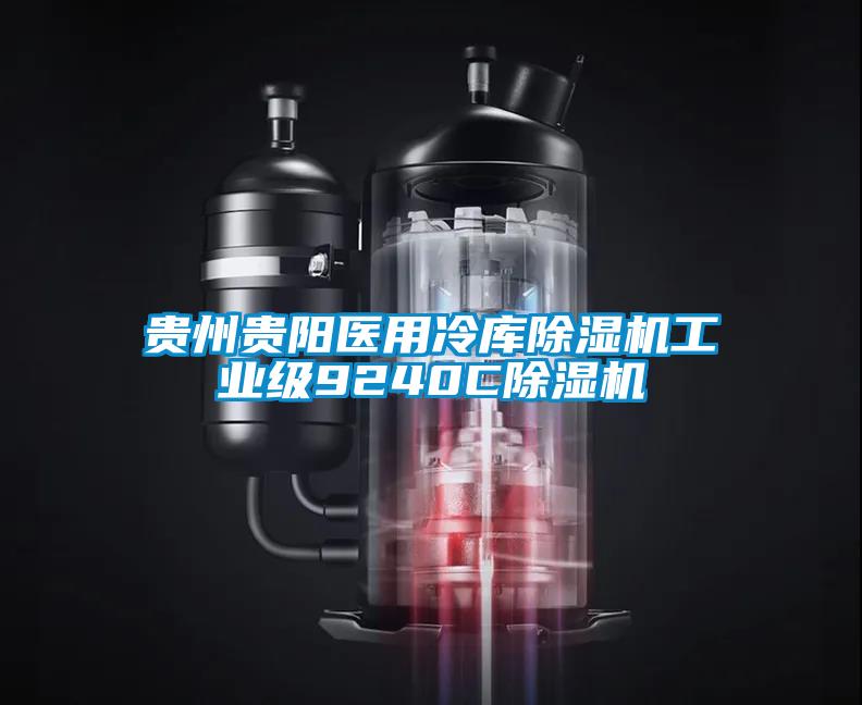 欧美黄色性爱视频网站 贵州贵阳医用冷库除湿机工业级9240C除湿机