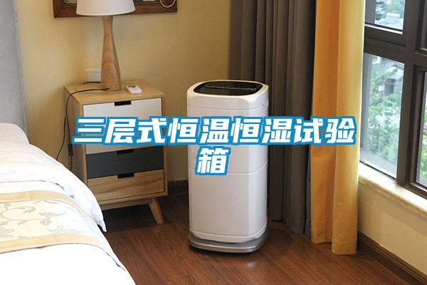 欧美黄色电影在线播放 三层式恒温恒湿试验箱