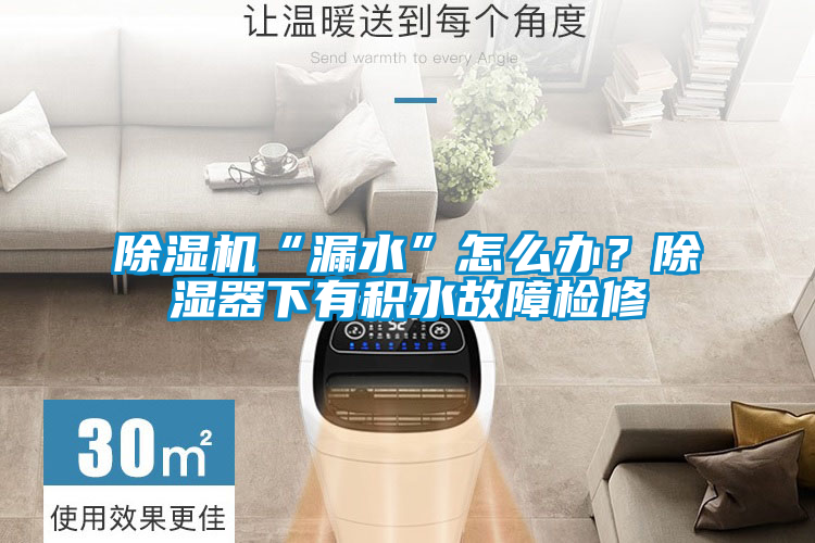 欧美黄色电影在线播放 除湿机“漏水”怎么办？除湿器下有积水故障检修