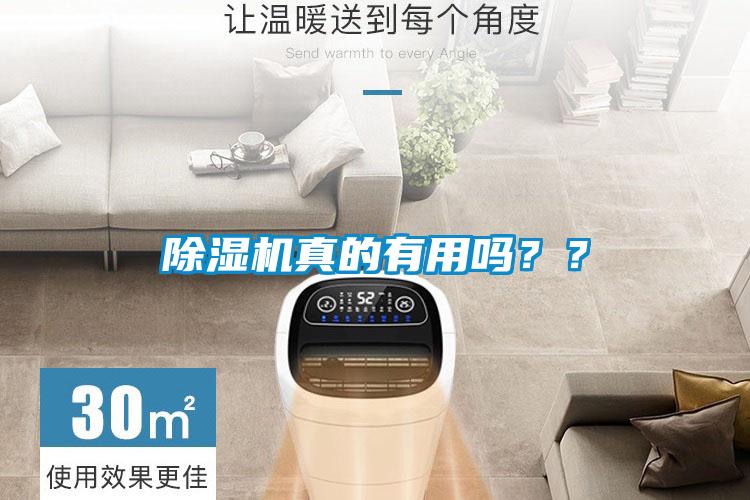欧美黄色性爱视频网站 除湿机真的有用吗？？