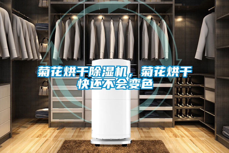 欧美成色手机在线观看 菊花烘干除湿机，菊花烘干快还不会变色