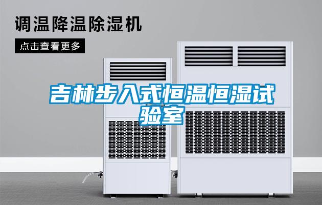 欧美黄色性爱视频网站 吉林步入式恒温恒湿试验室
