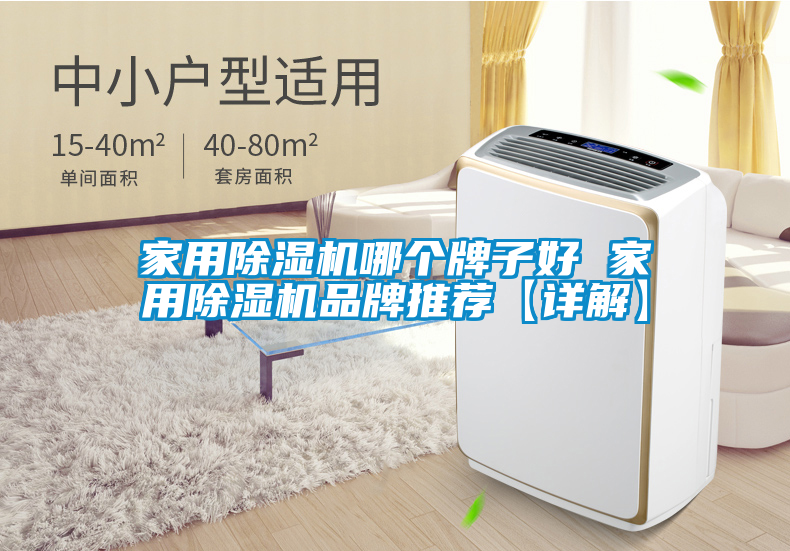 欧美黄色性爱视频网站 家用除湿机哪个牌子好 家用除湿机品牌推荐【详解】