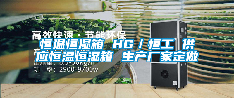 欧美黄色性爱视频网站 恒温恒湿箱 HG／恒工 供应恒温恒湿箱 生产厂家定做