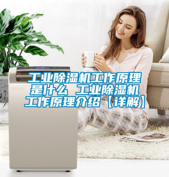 欧美黄色电影在线播放 工业除湿机工作原理是什么 工业除湿机工作原理介绍【详解】