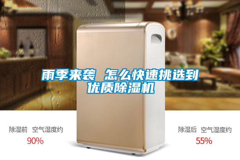 欧美成色手机在线观看 雨季来袭 怎么快速挑选到优质除湿机