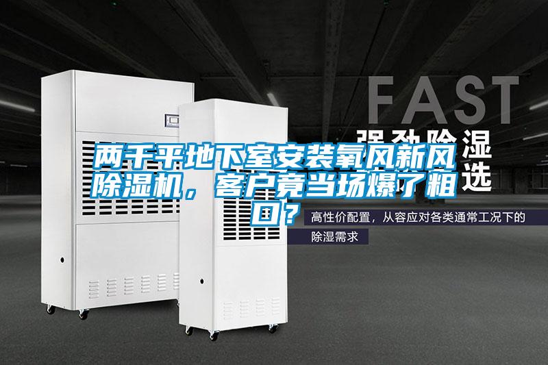 欧美黄色电影在线播放 两千平地下室安装氧风新风除湿机，客户竟当场爆了粗口？