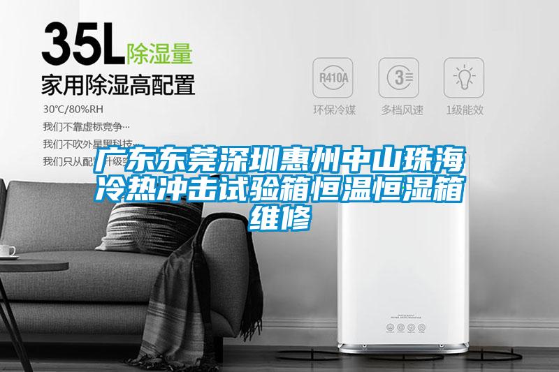 欧美黄色电影在线播放 广东东莞深圳惠州中山珠海冷热冲击试验箱恒温恒湿箱维修