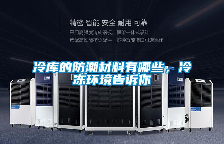 欧美黄色电影在线播放 冷库的防潮材料有哪些，冷冻环境告诉你
